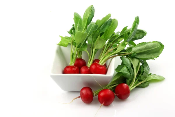 Bunch of fresh radishes in and around a white bowl — Stock Photo, Image