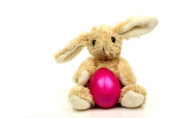 复活节兔子与一个紫色的蛋 — 图库照片