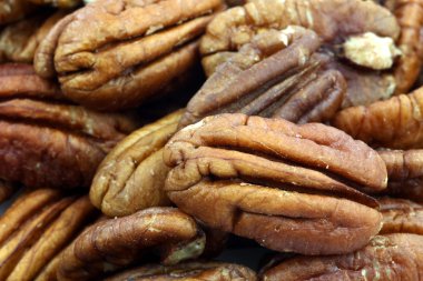 Pecan nuts clipart