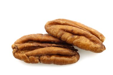 Pecan nuts clipart