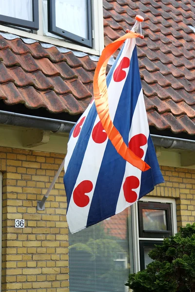 Friese vlag — Stockfoto