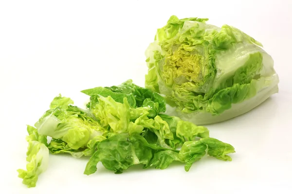 Cut lettuce — Stock Photo, Image