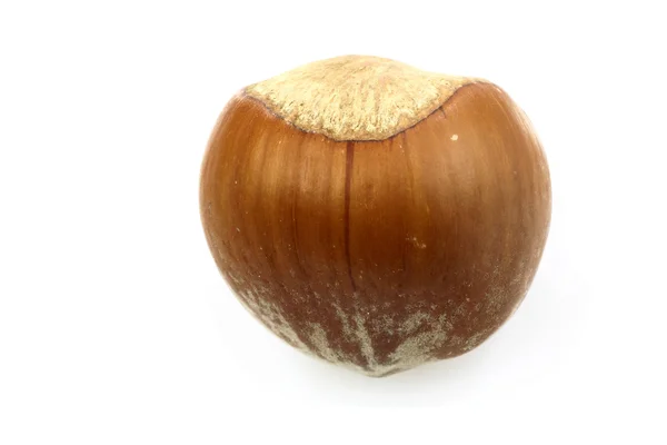 Celých lískového ořechu — Stock fotografie
