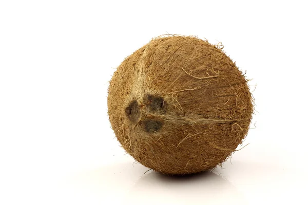 全体のココナッツ — ストック写真