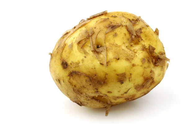 Φρεσκοκομμένου ολλανδική καινούρια πατάτα που ονομάζεται "opperdoes" — Φωτογραφία Αρχείου