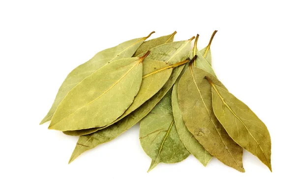 stock image Bunch of bay leaves