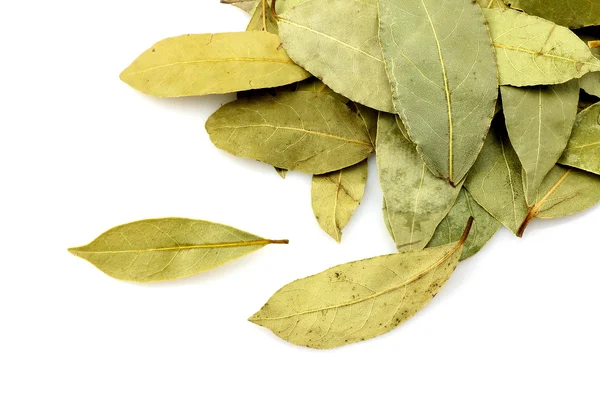 stock image Bunch of bay leaves