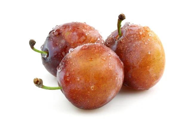 Trois prunes fraîches mûres — Photo