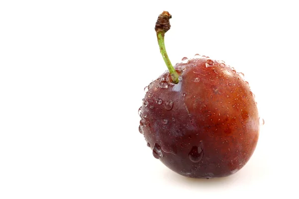 Une prune fraîche mûre — Photo
