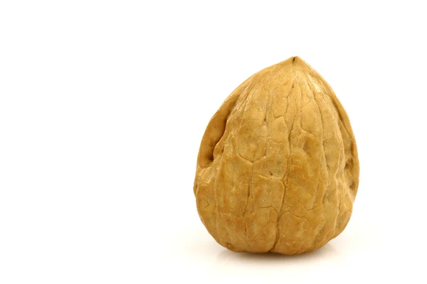 One whole walnut — Stock Photo, Image