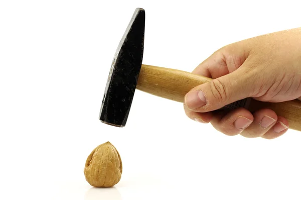 Man scheuren een walnoot — Stockfoto