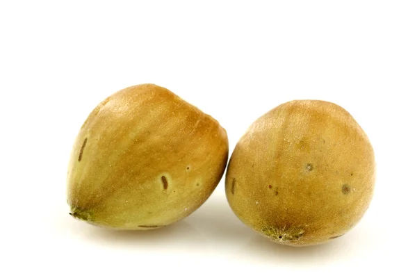 Two hazelnuts — Stock Photo, Image