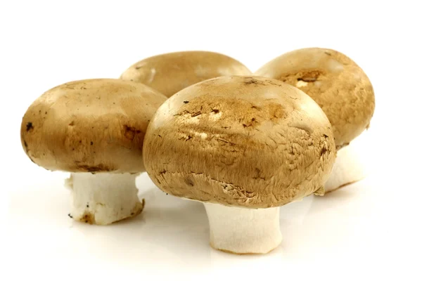 Un mucchio di champignon marroni — Foto Stock