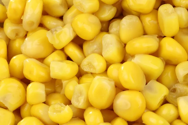 Букет або свіжі зерна солодкої кукурудзи — стокове фото