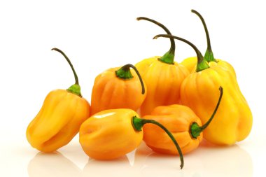 Baharatlı acı biber (Capsicum chinense )