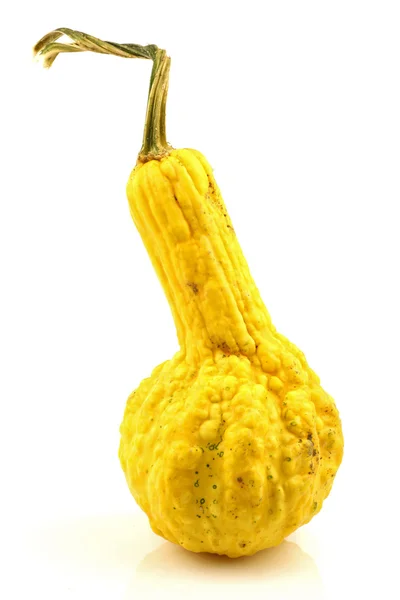 Yellow ornamental pumpkin — Stock Photo, Image