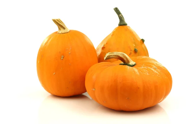 Orange ornamental pumpkins — Stock Photo, Image