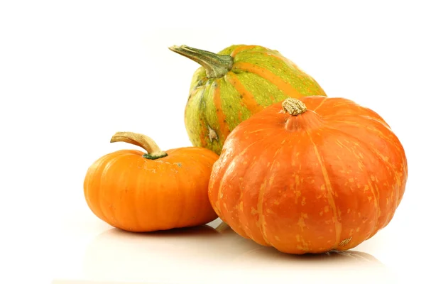 Orange and striped ornamental pumpkins — Stock Photo, Image