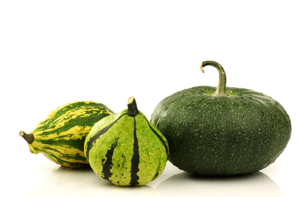 Green and striped ornamental pumpkins — Stock Photo, Image