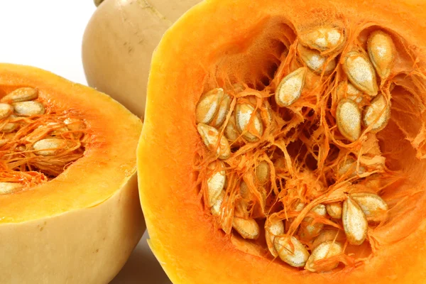 Freshly cut butternut pumpkin — Stock Photo, Image