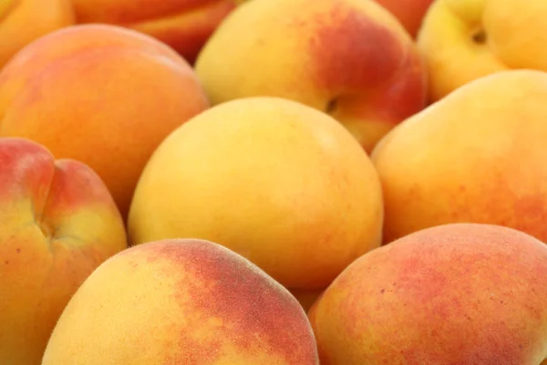 Verse kleurrijke abrikozen — Stockfoto