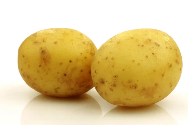 Два маленьких картофеля — стоковое фото