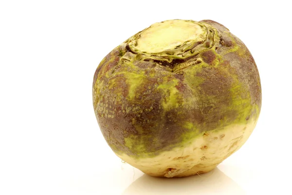 One fresh turnip(Brassica rapa rapa) Stock Picture