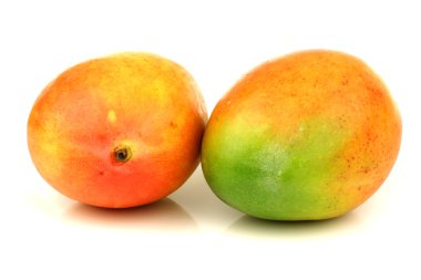 Two fresh mango fruits