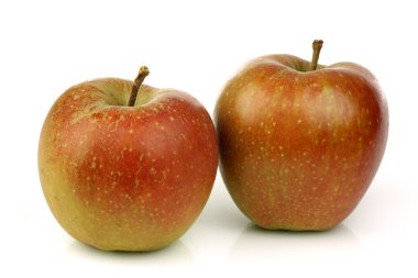 Traditional Dutch apples called 