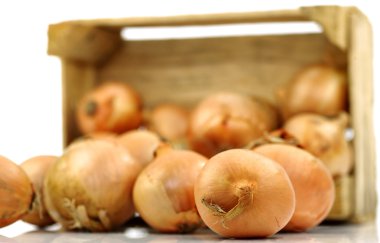 Bunch of brown onions coming from a wooden box clipart