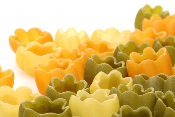Tricolore tulpen pasta — Stockfoto