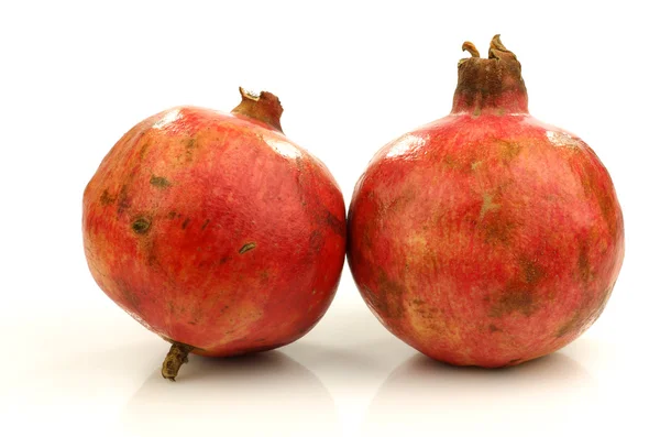 Twee granaatappel (Punica granatum) — Stockfoto