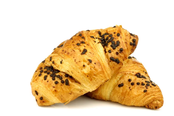 Chocolate sprinkled and filled fresh croissants — Stock Photo, Image