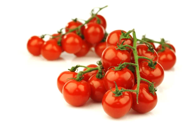 Tomates cerises fraîches sur la vigne — Photo