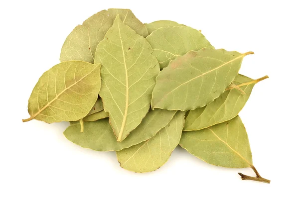 stock image Bunch of dried bay leaves