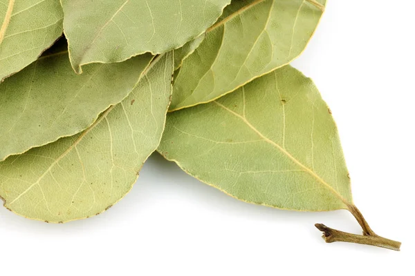 stock image Bunch of dried bay leaves