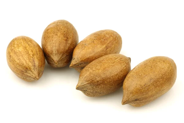Banda pekanové ořechy — Stock fotografie