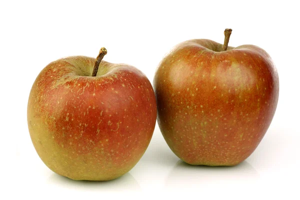 Traditional Dutch apples called "goudrenet" used for making apple pie — Stock Photo, Image