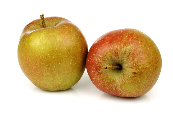 Tradycyjne holenderskie jabłka o nazwie "goudrenet", używany do produkcji szarlotka — Zdjęcie stockowe