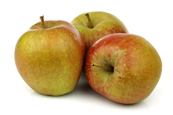 Traditionele Nederlandse appels genaamd "goudrenet" gebruikt voor het maken van appeltaart — Stockfoto