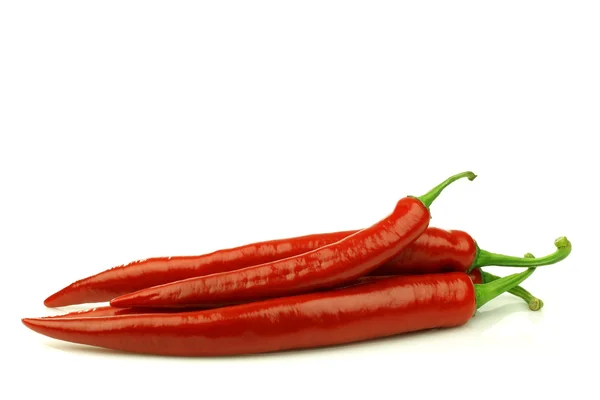 Röd chilipeppar (Capsicum) — Stockfoto