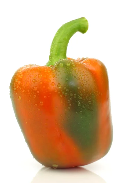 One whole and fresh orange and green colored paprika — Stock Photo, Image