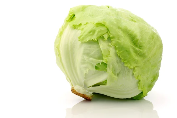 Freshly harvested lettuce — Stock Photo, Image
