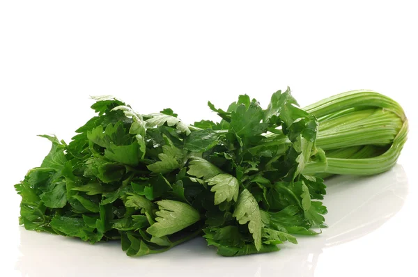 Fresh celery — Stock Photo, Image