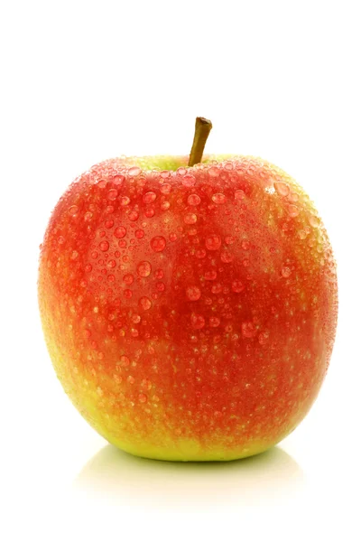 Świeże nowy jabłko odmiany o nazwie "Jana Kochanowskiego" — Zdjęcie stockowe