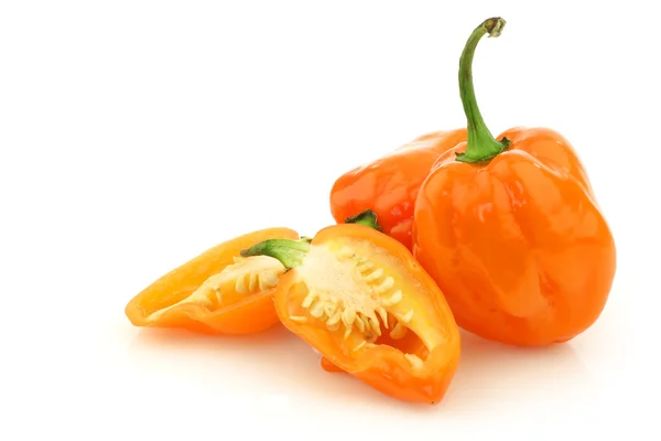 Pikantny gorący adskoa Pepper (Capsicum chinense ) — Zdjęcie stockowe