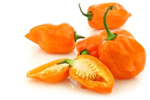 Spicy hot cut adjuma peppers(Capsicum chinense ) — Stock Photo, Image