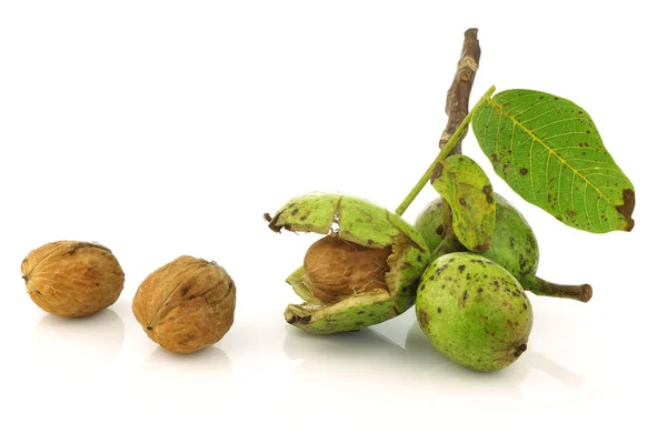 stock image Fresh walnuts (Juglans regia)