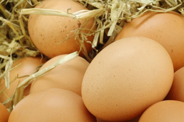 Brown eggs and straw — Stock Photo, Image