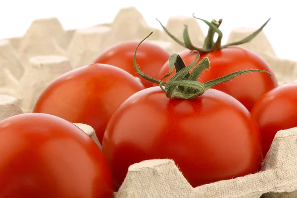 Свежие помидоры в лотке — стоковое фото